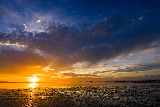 istock Morning Cloudscape - Moody Skies 97893220