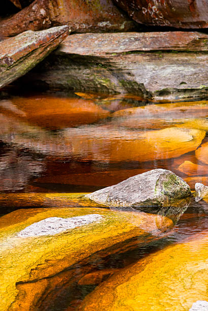 istock Golden River on the Auyantepuy, Venezuela 97893481