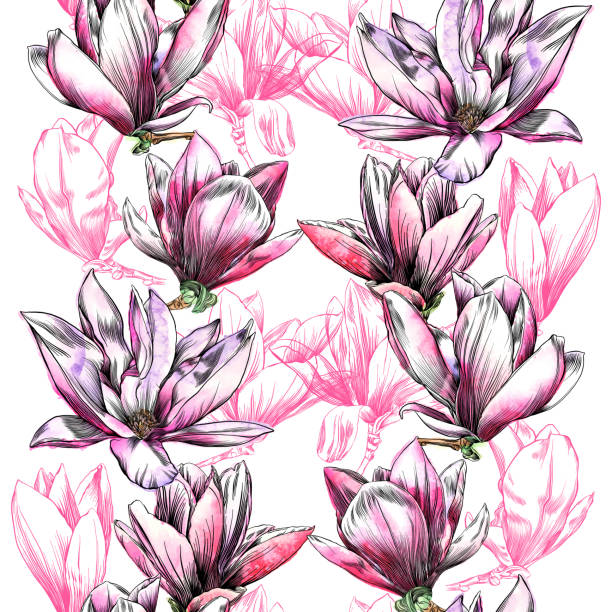 ilustraciones, imágenes clip art, dibujos animados e iconos de stock de plantilla de diseño de flor de magnolia en patrones sin fisuras en acuarela y tinta - plant white magnolia tulip tree