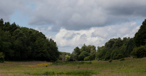 istock Panoramic View to Valley in the Summertime - Jutland 978947666