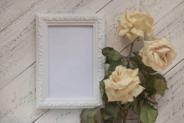 istock empty vintage frame and creamy dry roses on white shabby chic background.empty interior frame.Vintage frame mockup. 978955506