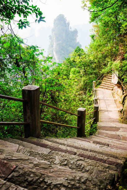 istock Scenic stone stairs leading along steep cliff (Avatar Mountains) 978972312