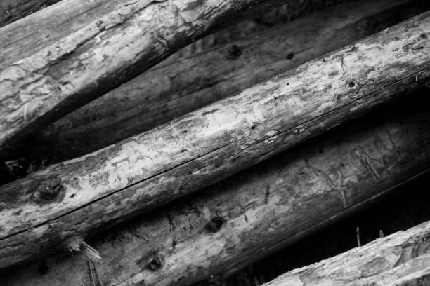 Horizontal panoramic design on embossed wood texture for pattern and background.