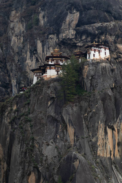 des tigers nest bhutan - art homage flash stock-fotos und bilder