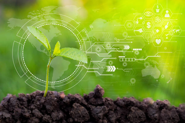 istock Agriculture Technology Seedlings are green, brown soil. 978978444