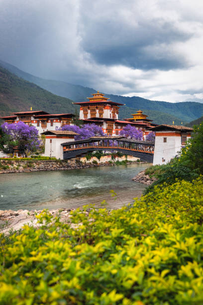 punakha dzong - bhutan - fotografias e filmes do acervo