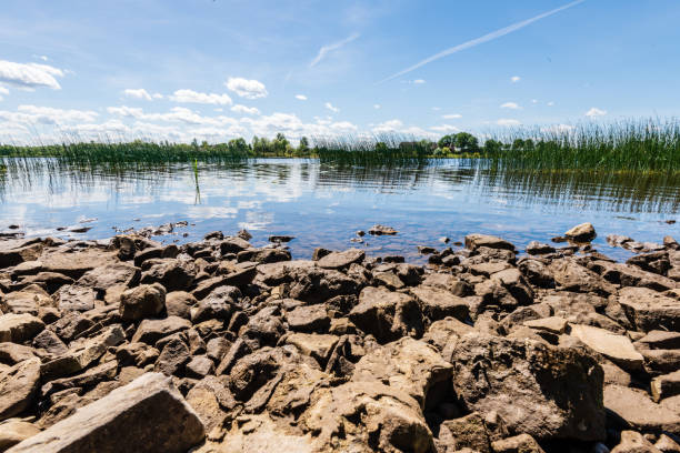 istock rocky beach in the baltic sea 978989794