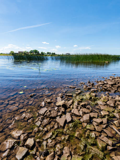 istock rocky beach in the baltic sea 978990900