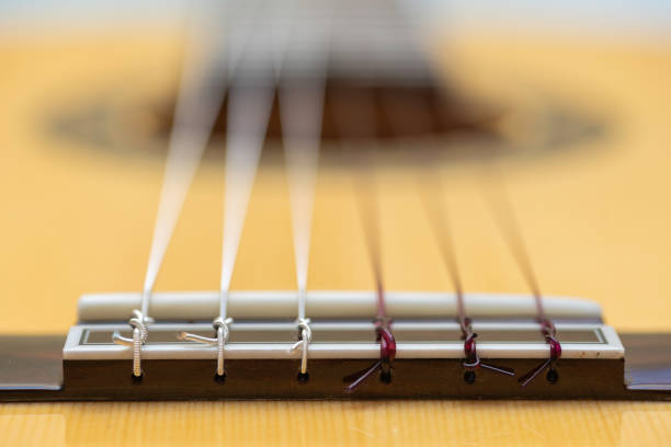 Knots of the strings of a guitar.