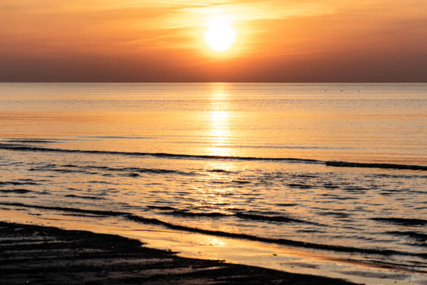 istock dramatic sunset with birds on the beach by the sea 978992474