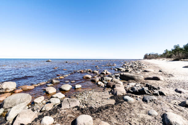 istock rocky beach in the baltic sea 978992612