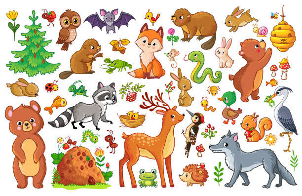 ilustraciones, imágenes clip art, dibujos animados e iconos de stock de vector con animales y aves. - honey agaric