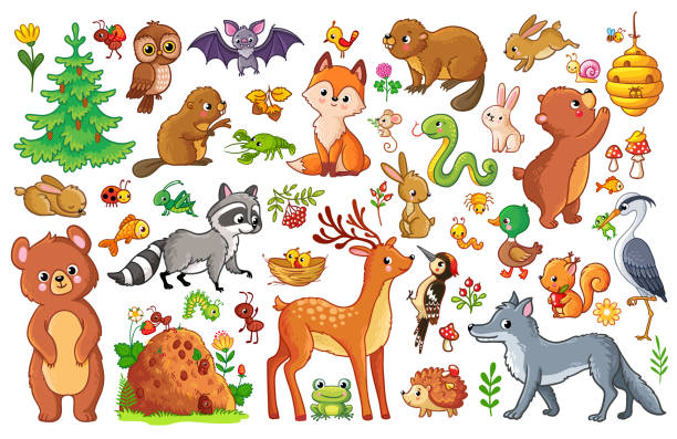 illustrazioni stock, clip art, cartoni animati e icone di tendenza di set vettoriale con animali e uccelli. - honey agaric