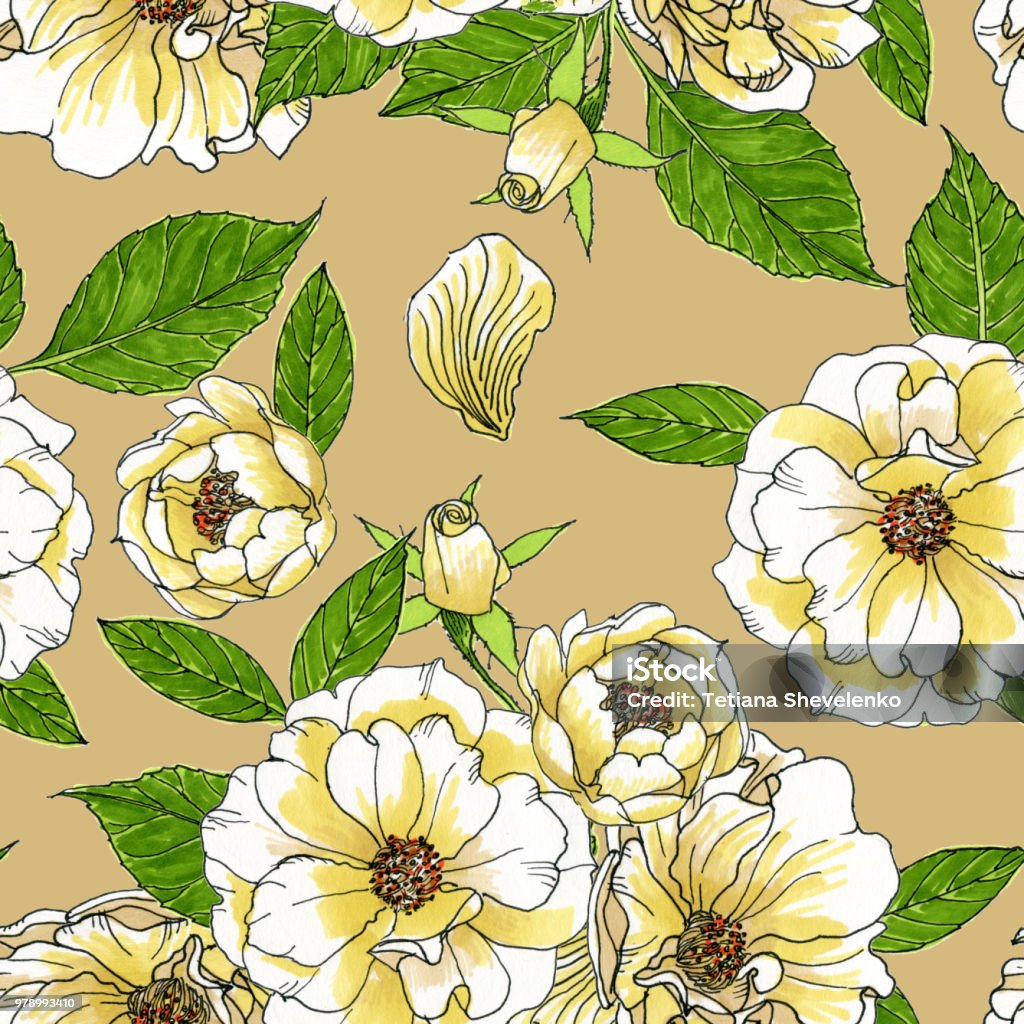 Seamless pattern of contour beautiful roses on beige background Watercolor seamless pattern of flowers on beige background, roses with buds and leaves. Art stock illustration