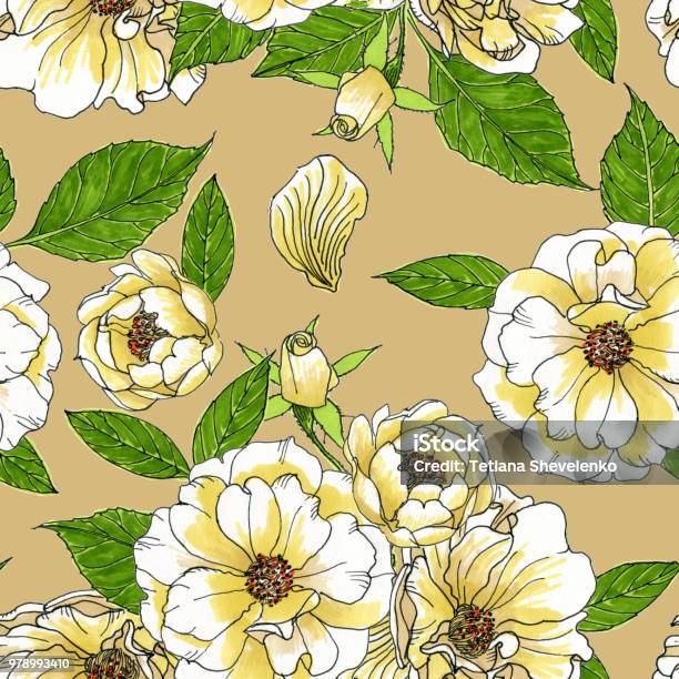 Seamless Pattern Of Contour Beautiful Roses On Beige Background Stock Illustration - Download Image Now