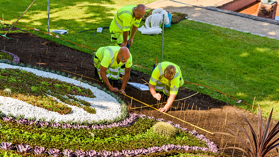 Ronneby, Sweden - June 16, 2018: Professional gardeners planting flowers in a public park, Tingshusparken, in celebration of the 100th anniversary of The Swedish Working Dog Association.