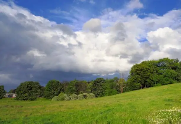 "Bright evening cloudy sky over fresh green meadow and forest"