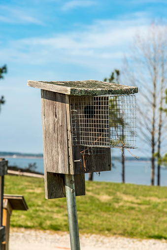 Birdhouse on a post