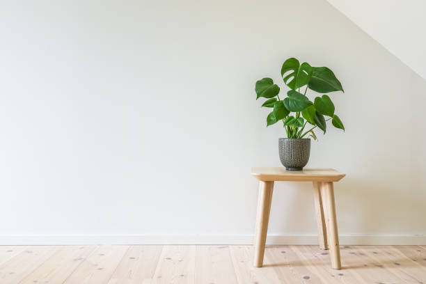 wooden table with a potted plant in simple living room interior - scandic imagens e fotografias de stock