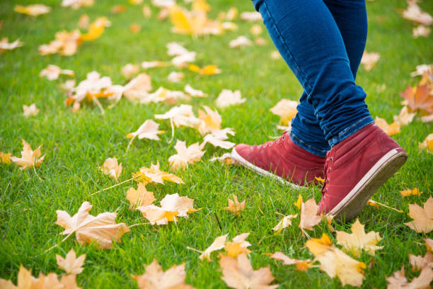 Feet sneakers walking on fall leaves stock photo