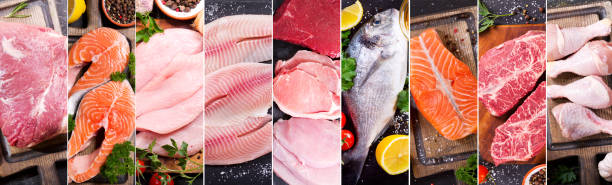 colagem de comida de carne fresca, frango e peixe - seafood steak variation prepared fish - fotografias e filmes do acervo