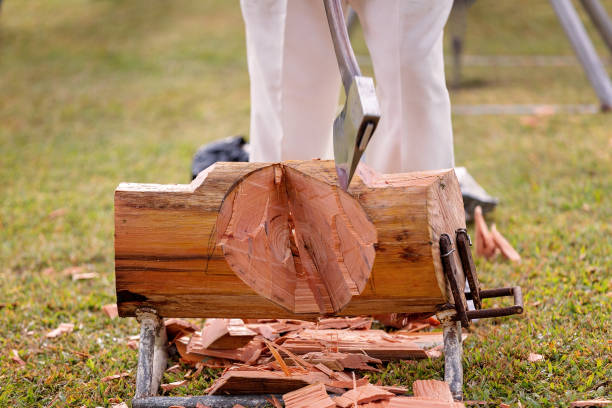 istock Wood Chopping Event At A Country Show 979016722