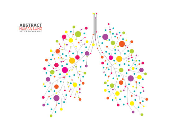 illustrazioni stock, clip art, cartoni animati e icone di tendenza di vettore polmonare umano astratto - human lung