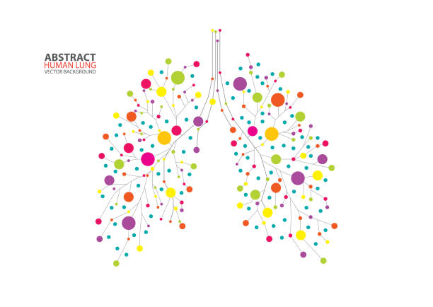 Abstract human lung vector Abstract human lung vector with dots and lines lung stock illustrations
