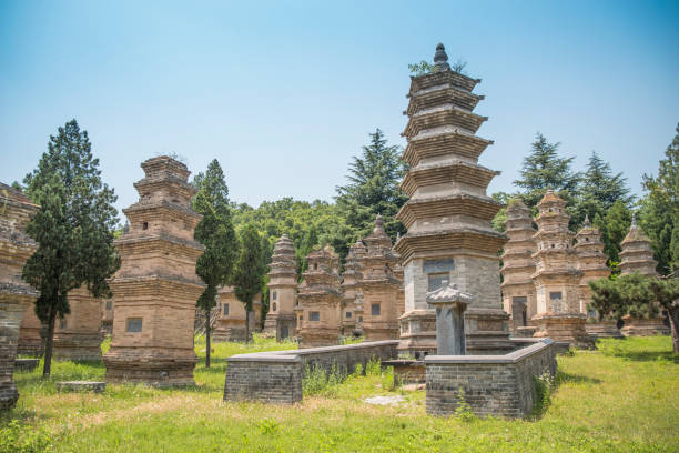 лесные пагоды шаолиньского монастыря. - luoyang стоковые фото и изображения