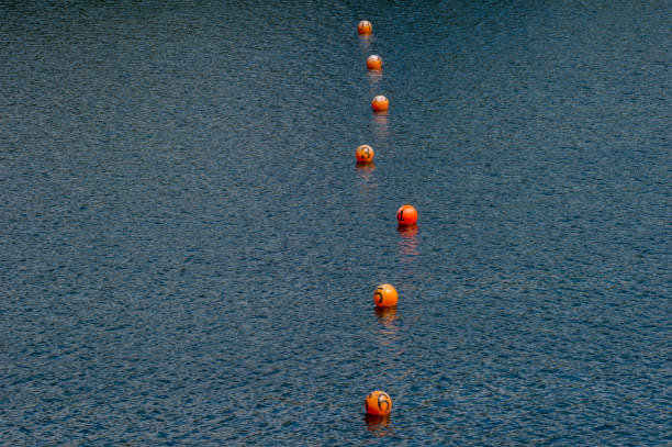 roowing area with lanes in the lake. roowing buoys roowing area with lanes in the lake. roowing orange buoys swimming pool lane ropes stock pictures, royalty-free photos & images