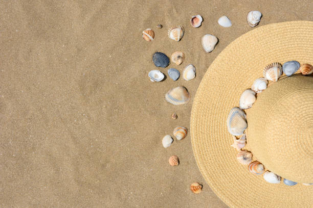 istock Beach hat on the sand, seashells. The texture of the sand. Top view, copy space. 979021836