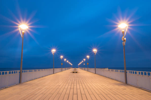 istock Illuminated pier by the sea at night 979027068