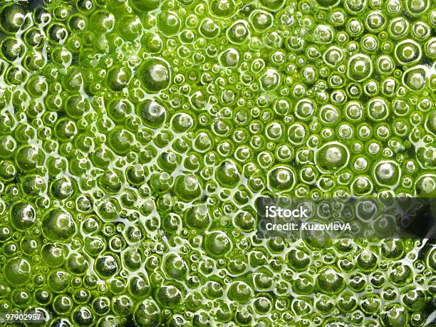 Sfondo Verde Con Bolle - Fotografie stock e altre immagini di Acqua - Acqua, Acquitrino di torbiera, Alga