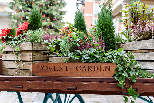 Flora filled cart, advertising London's famous old Flower Market, Covent Garden
