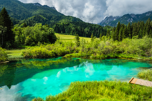 Green water, Zelenci, Triglav National Park, Gorenjska, Julian Alps, Slovenia, Europe,no logos,Nikon D850