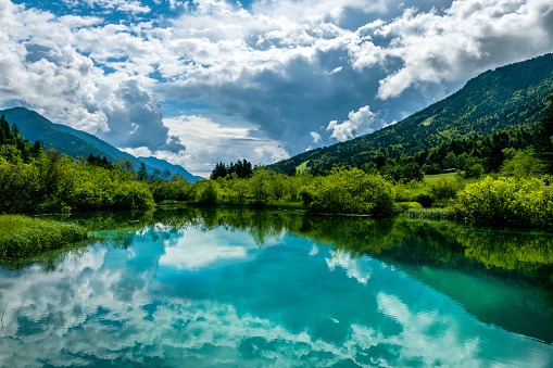 Green water, Zelenci, Triglav National Park, Gorenjska, Julian Alps, Slovenia, Europe,no logos,Nikon D850