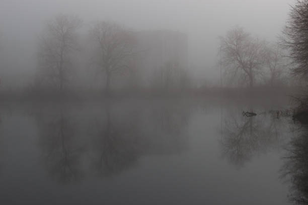 istock Foggy lake in late autumn 979043704