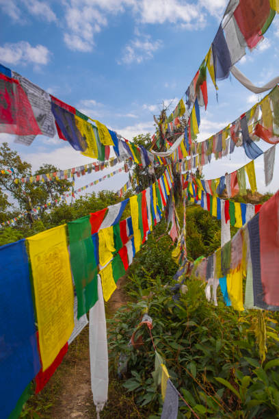 istock colorful waving prayer flags 979044404