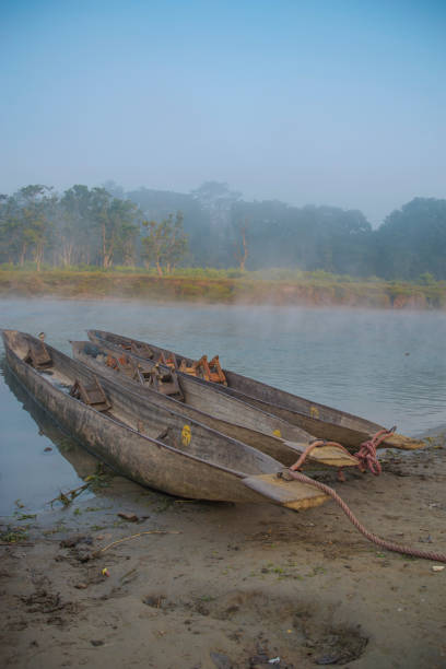 istock Chitwan Reserve in Nepal. 979047712