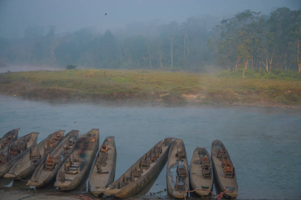 istock Chitwan Reserve in Nepal. 979047722