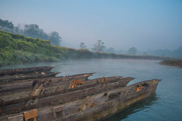 istock Chitwan Reserve in Nepal. 979047780