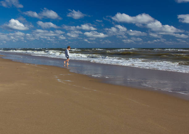 istock Interested boy walking on the empty beach in seawater. Childhood, interest, nature, learn process, pretty moments. 979053708