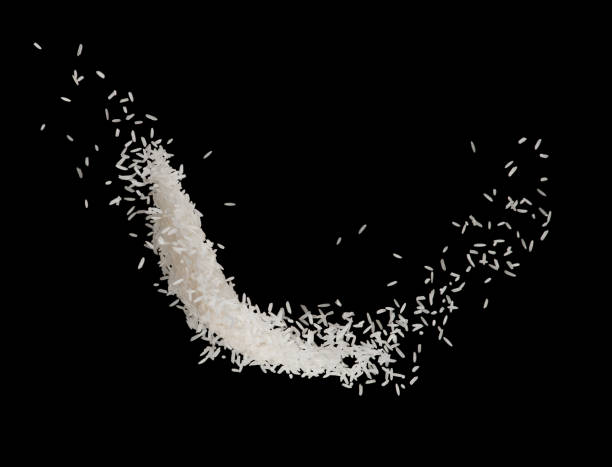 istock Stop motion white rice splash or explode flying in the air  isolated on black background food object design 979060382