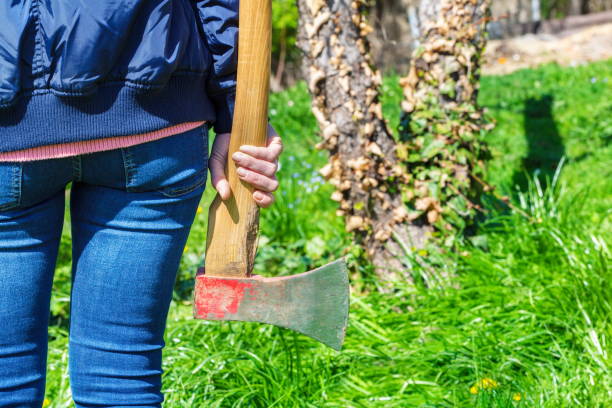istock Woman with ax near tree 979066246