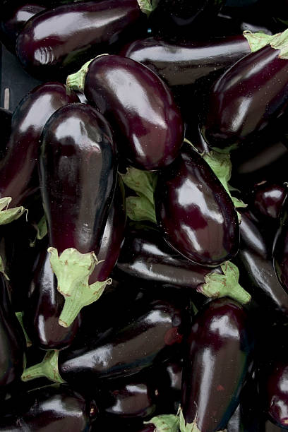 eggplant 2 stock photo