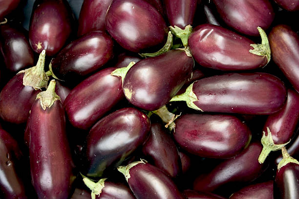 eggplant stock photo
