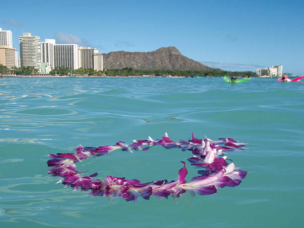 praia do waikiki lei - hawaii islands big island waikiki beach imagens e fotografias de stock