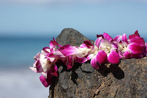 lei en roca volcánica en maui - hawaii islands maui big island tropical climate fotografías e imágenes de stock