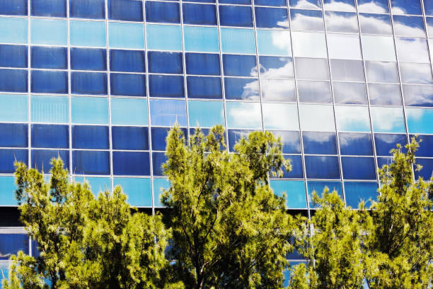 istock Puffy cumulus cloud reflected in an office building with trees in foreground 979081204