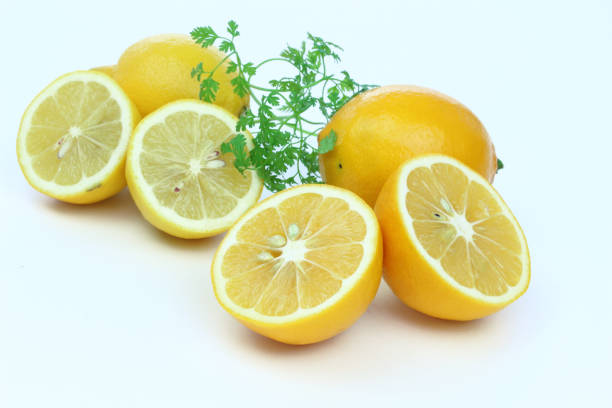 meyer citron et de citron et d’herbes (cerfeuil) - chervil healthy eating healthy lifestyle studio shot photos et images de collection